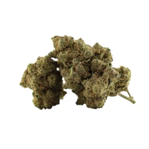 PORN STAR OG 50% Delta 10 — Alpha X CBD