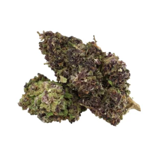 MEDIUM BUDS PURPLE URKLE 50% Delta 10 — Alpha X CBD