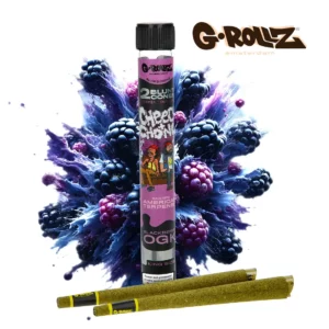 Blunt pre-roule chanvre G-Rollz Cheech and Chong (par 2) — Alpha X CBD