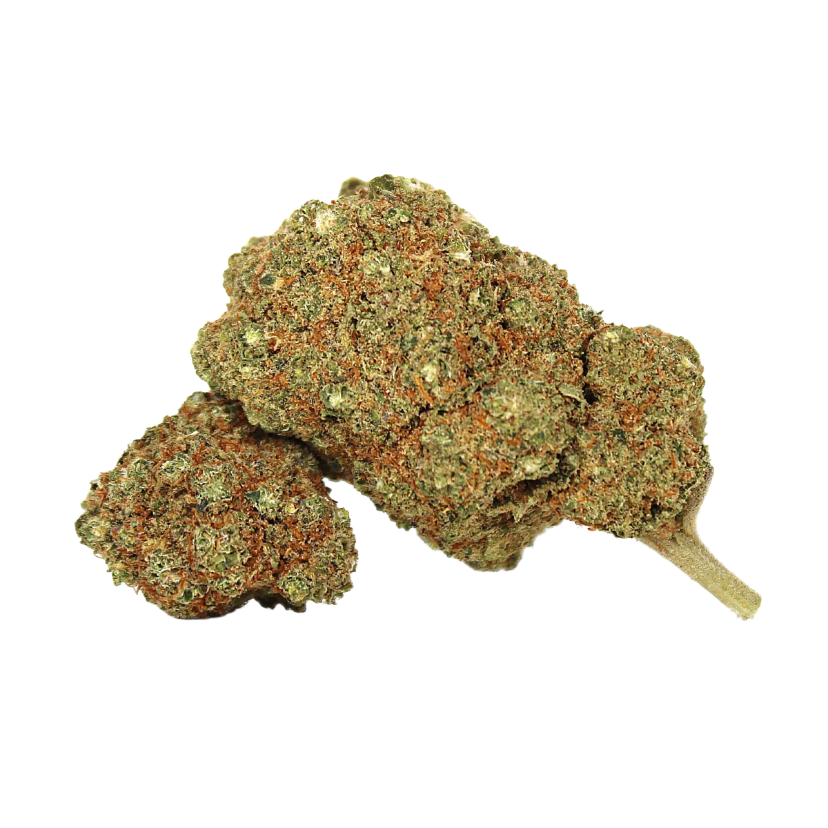 RAINBOW SHERBET 11 50% Delta 10 — Alpha X CBD