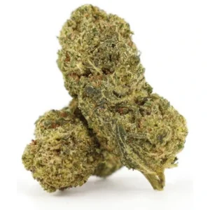 Flying Dutchmann 50% Delta 10 — Alpha X CBD