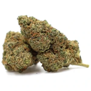 King Louis 50% Delta 10 — Alpha X CBD