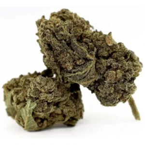 Fleur Donny Burger 50% Magic Sauce — Alpha X CBD