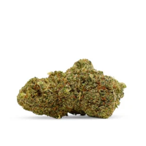 Mango Pops 50% Delta 10 — Alpha X CBD